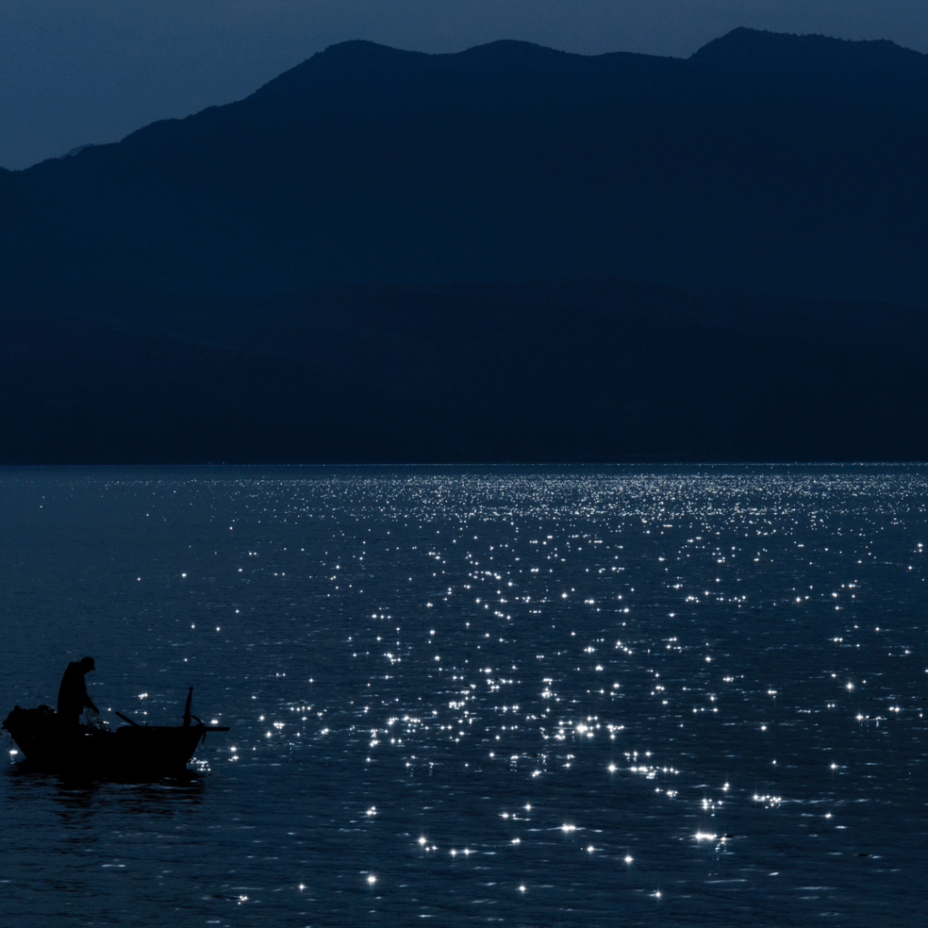 night fishing